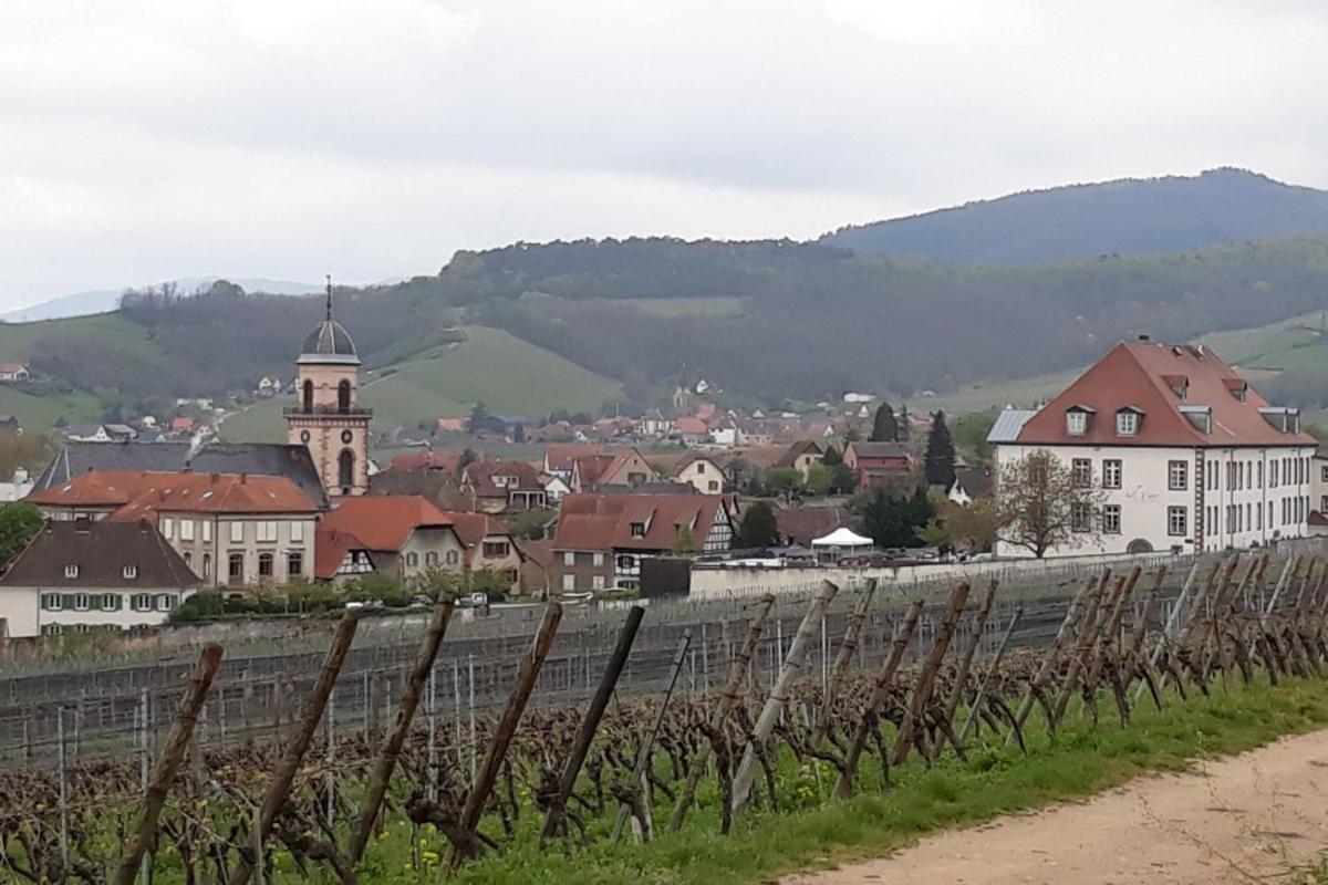 Gite Du Forgeron - 6 A 8 Personnes - Centre Alsace - Saint-Hippolyte Saint-Hippolyte (Haut-Rhin) Exterior foto